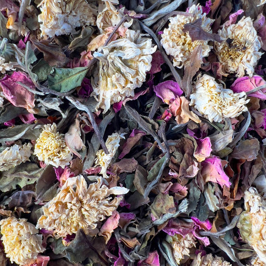 Hibiscus Fresca