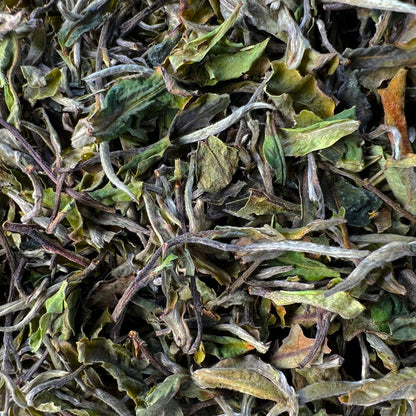 Bai Mudan White Tea