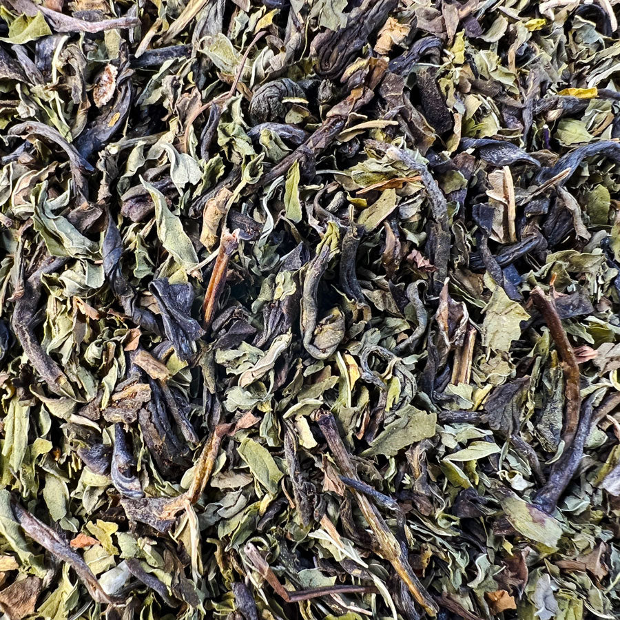 Fresh Blend Tea Fresh Start – Kitefin Teas & Sundries
